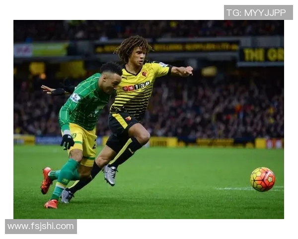 维拉与诺维奇对决前瞻分析及胜负预测解析