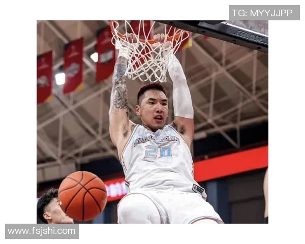 陶汉林：从篮球新星到职业生涯巅峰的励志之路与成长故事