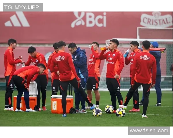 日本与智利足球赛精彩直播全程回顾与分析