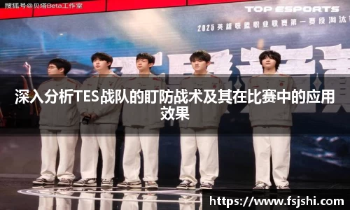 深入分析TES战队的盯防战术及其在比赛中的应用效果