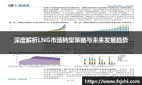 深度解析LNG市场转型策略与未来发展趋势