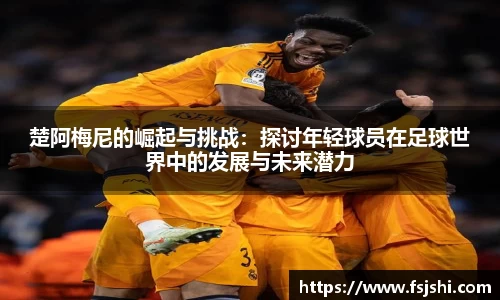 今年会jinnianhui官网